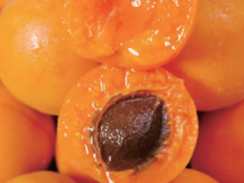 Hanging Dried Apricot
