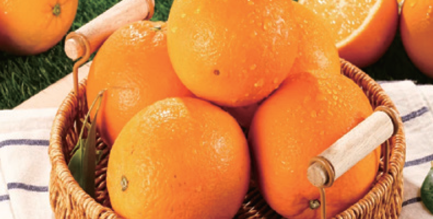 Bingtang Orange (Rock Sugar Orange)