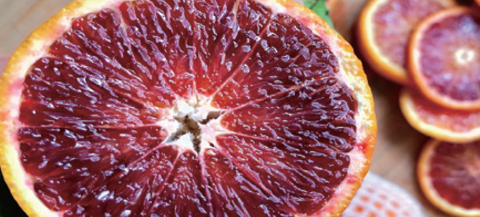 Blood Orange