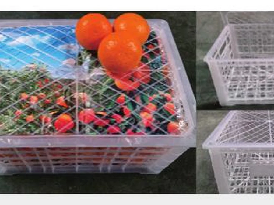 10 kg white crate w/ lid
