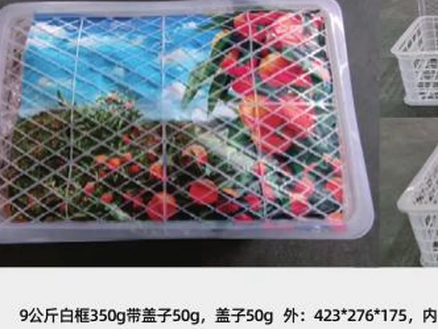 9 kg white crate w/ lid