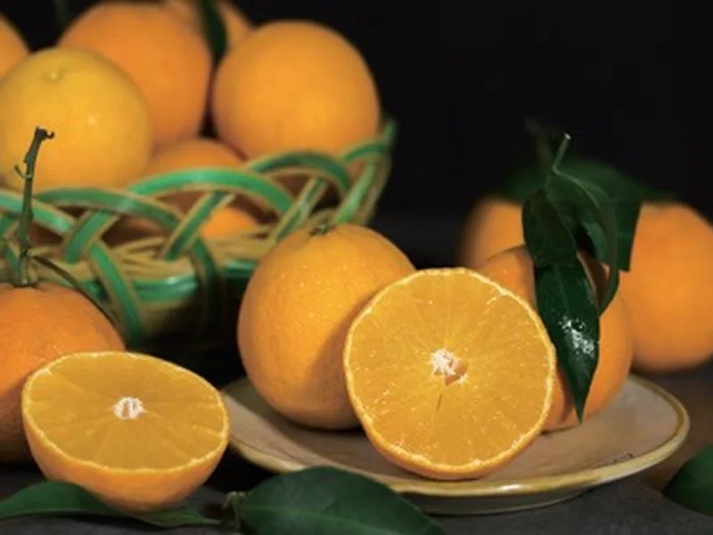 Jelly Orange