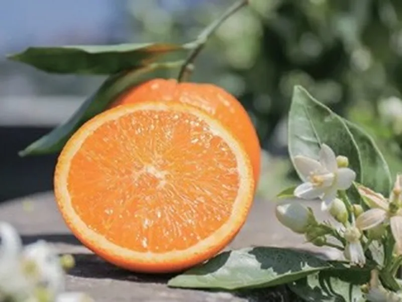 Lanelate Orange
