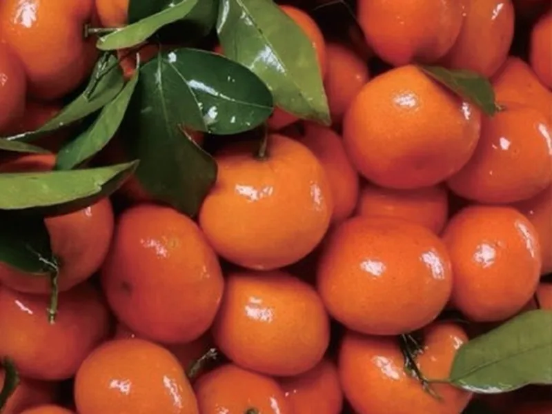 Murcott Mandarin