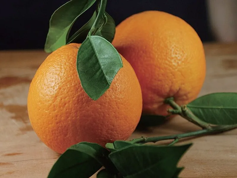Newhall Navel Orange