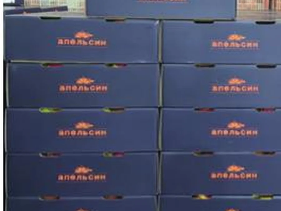 Navy export carton