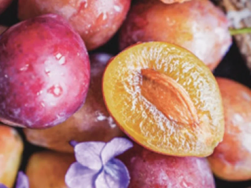Prunes