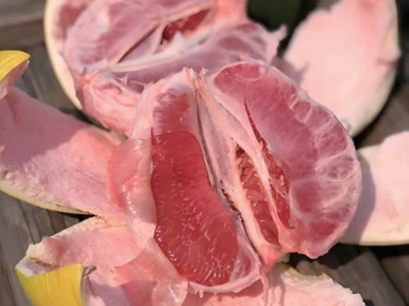 Tri-Red Honey Pomelo
