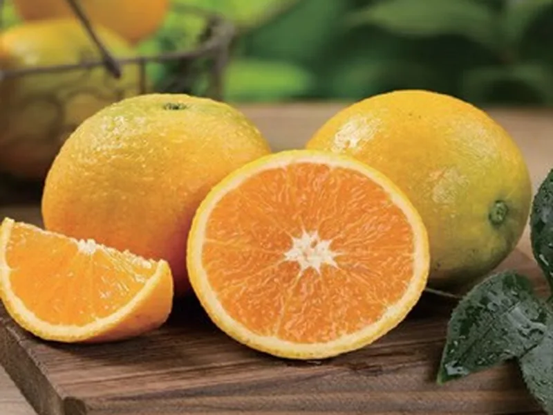 Valencia Orange