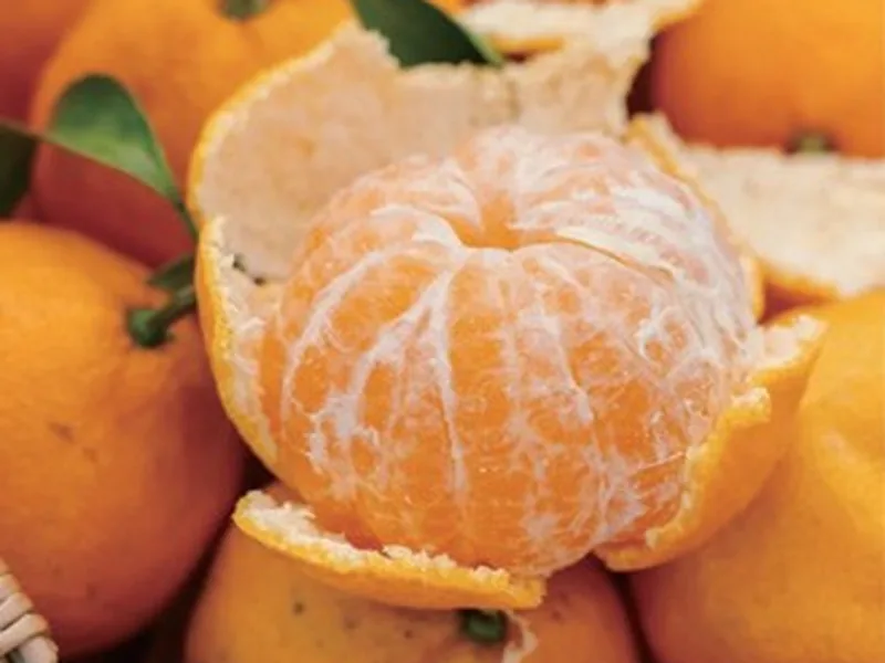 Yichang Mandarin