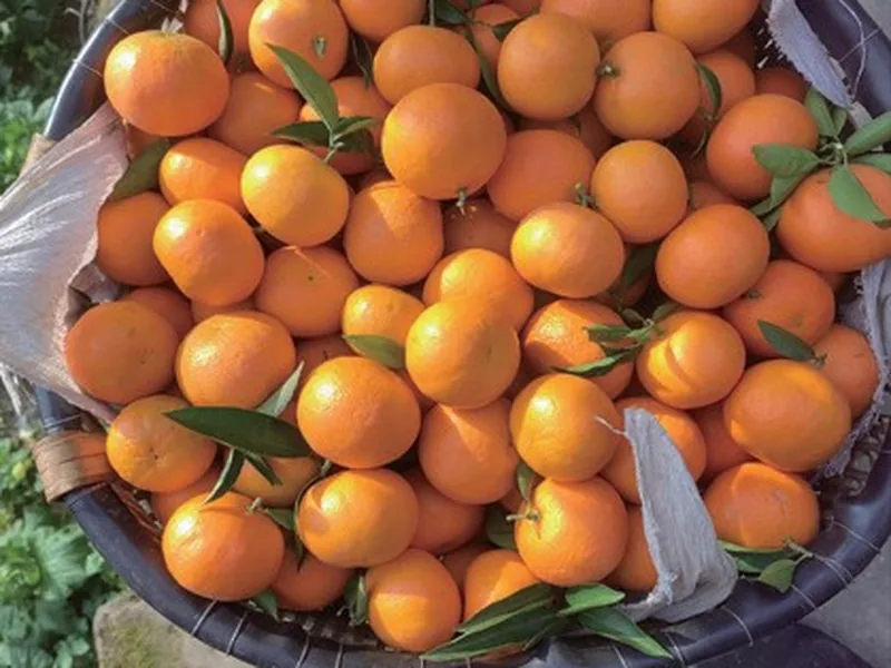 Yunnan Mandarin